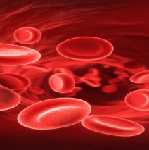 Kan Gruplarının Gizemi